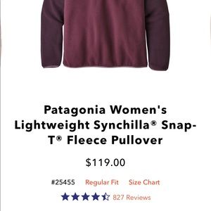 Patagonia Lightweight Synchilla Snap-T Fleece